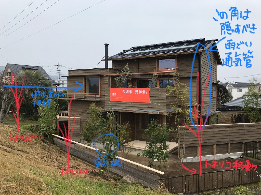 【手直し】視線のコントロールのための木を追加