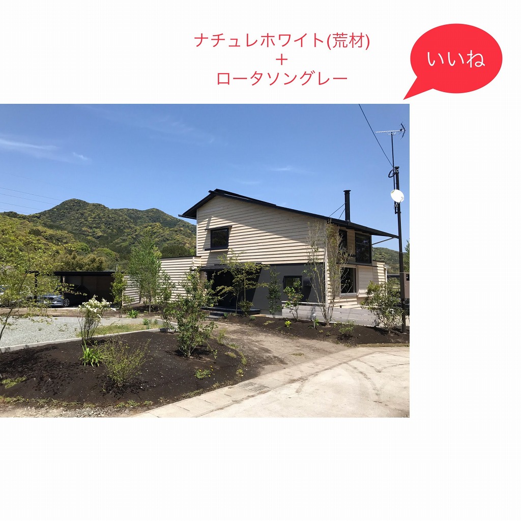 【いいね】外壁の色取り合わせ